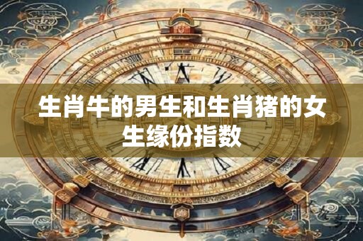 生肖牛的男生和生肖猪的女生缘份指数