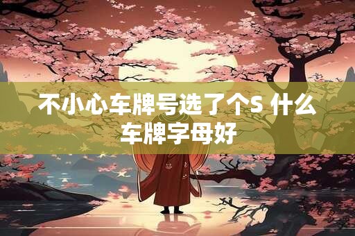 不小心车牌号选了个S 什么车牌字母好