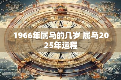 1966年属马的几岁 属马2025年运程