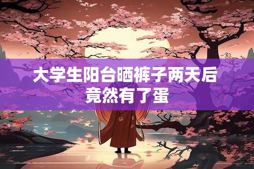 大学生阳台晒裤子两天后 竟然有了蛋