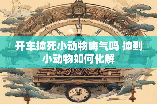 开车撞死小动物晦气吗 撞到小动物如何化解