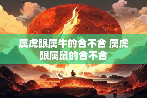 属虎跟属牛的合不合 属虎跟属鼠的合不合