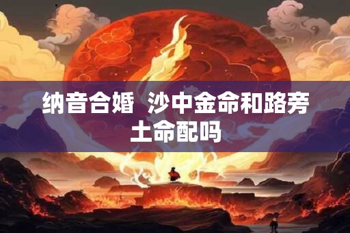 纳音合婚  沙中金命和路旁土命配吗