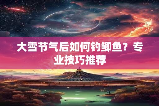 大雪节气后如何钓鲫鱼？专业技巧推荐
