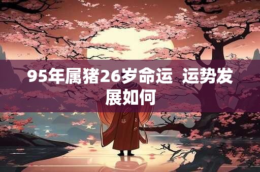 95年属猪26岁命运  运势发展如何