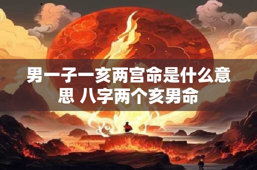 男一子一亥两宫命是什么意思 八字两个亥男命
