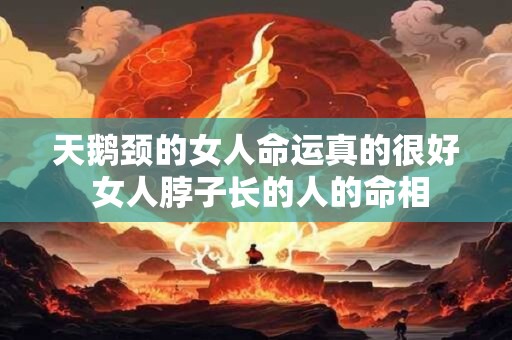 天鹅颈的女人命运真的很好 女人脖子长的人的命相