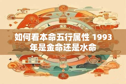 如何看本命五行属性 1993年是金命还是水命