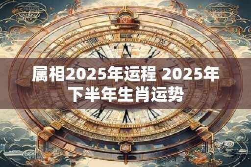 属相2025年运程 2025年下半年生肖运势