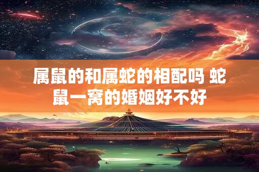 属鼠的和属蛇的相配吗 蛇鼠一窝的婚姻好不好