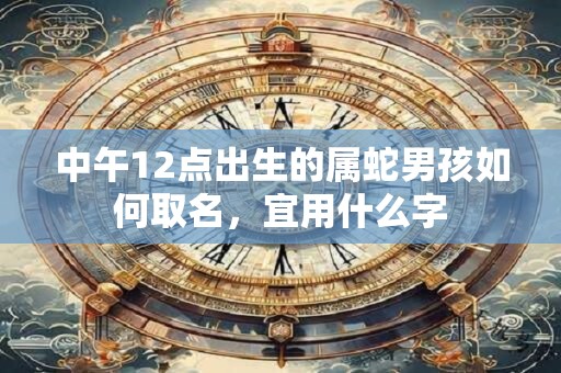 中午12点出生的属蛇男孩如何取名，宜用什么字