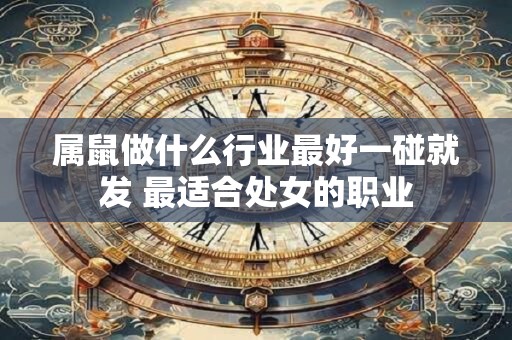属鼠做什么行业最好一碰就发 最适合处女的职业