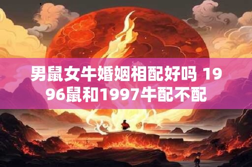 男鼠女牛婚姻相配好吗 1996鼠和1997牛配不配