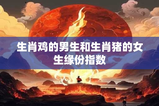 生肖鸡的男生和生肖猪的女生缘份指数