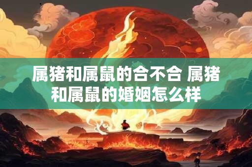 属猪和属鼠的合不合 属猪和属鼠的婚姻怎么样