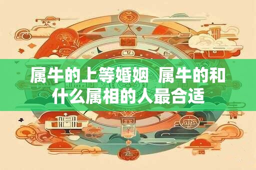 属牛的上等婚姻  属牛的和什么属相的人最合适