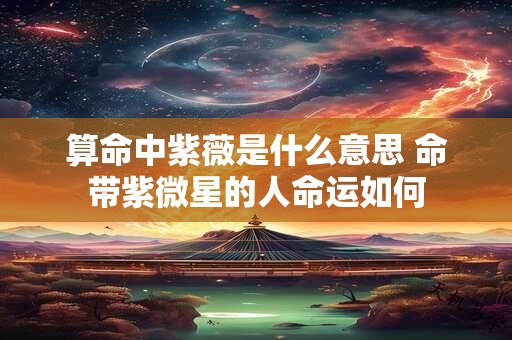 算命中紫薇是什么意思 命带紫微星的人命运如何