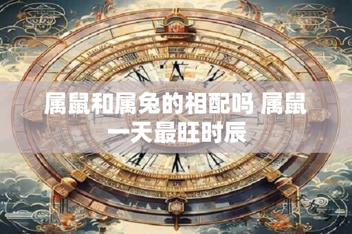 属鼠和属兔的相配吗 属鼠一天最旺时辰