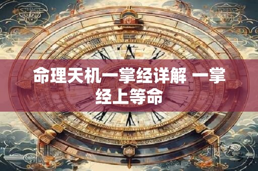 命理天机一掌经详解 一掌经上等命