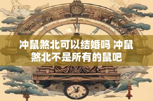 冲鼠煞北可以结婚吗 冲鼠煞北不是所有的鼠吧