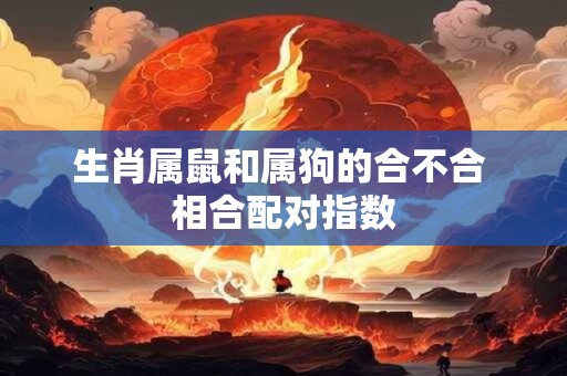 生肖属鼠和属狗的合不合 相合配对指数