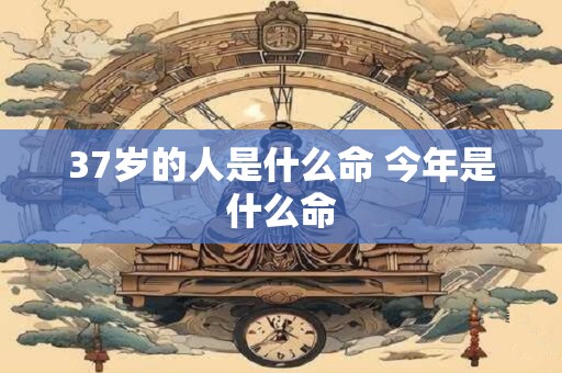 37岁的人是什么命 今年是什么命