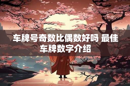 车牌号奇数比偶数好吗 最佳车牌数字介绍