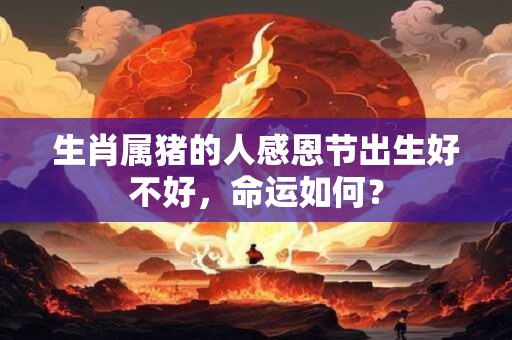 生肖属猪的人感恩节出生好不好，命运如何？