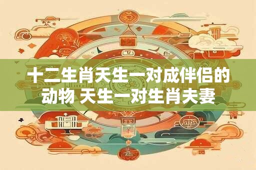 十二生肖天生一对成伴侣的动物 天生一对生肖夫妻