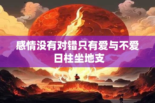 感情没有对错只有爱与不爱 日柱坐地支