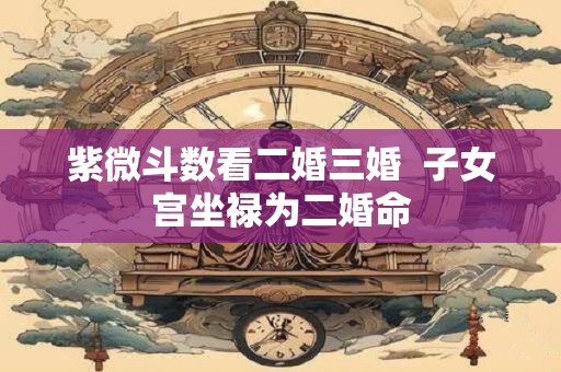 紫微斗数看二婚三婚  子女宫坐禄为二婚命