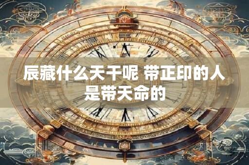 详细阅读:辰藏什么天干呢 带正印的人是带天命的 辰藏什么天干呢 带正印的人是带天命的