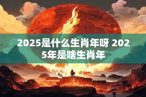 2025是什么生肖年呀 2025年是啥生肖年