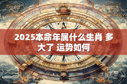 2025本命年属什么生肖 多大了 运势如何