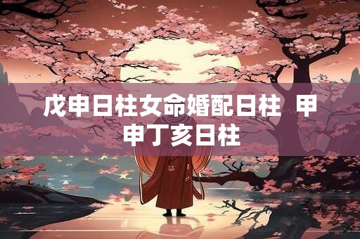 戊申日柱女命婚配日柱  甲申丁亥日柱
