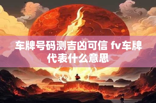 车牌号码测吉凶可信 fv车牌代表什么意思