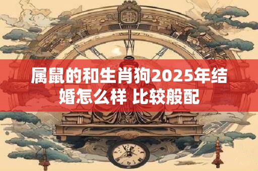 属鼠的和生肖狗2025年结婚怎么样 比较般配