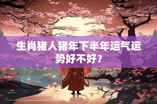 生肖猪人猪年下半年运气运势好不好？