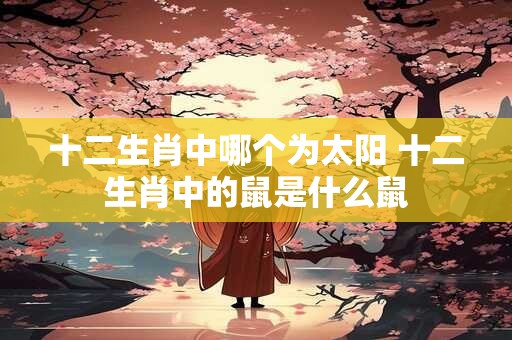 十二生肖中哪个为太阳 十二生肖中的鼠是什么鼠