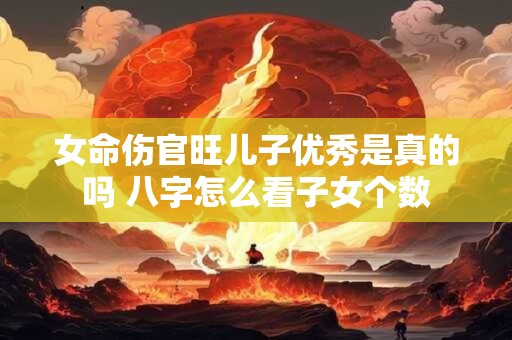 详细阅读:女命伤官旺儿子优秀是真的吗 八字怎么看子女个数 女命伤官旺儿子优秀是真的吗 八字怎么看子女个数