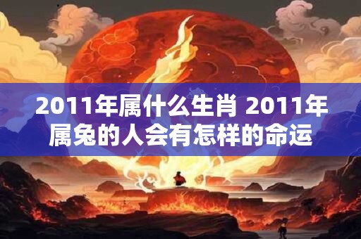 2011年属什么生肖 2011年属兔的人会有怎样的命运
