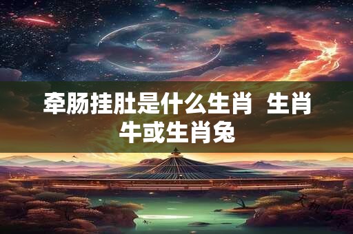 牵肠挂肚是什么生肖  生肖牛或生肖兔