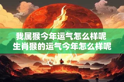 我属猴今年运气怎么样呢 生肖猴的运气今年怎么样呢