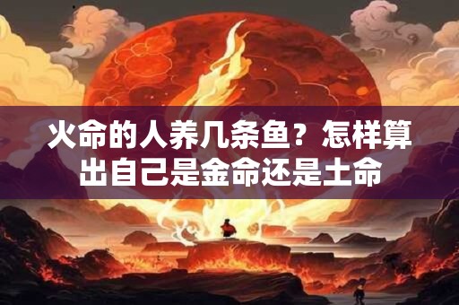 火命的人养几条鱼？怎样算出自己是金命还是土命