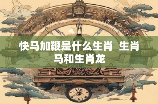 快马加鞭是什么生肖  生肖马和生肖龙