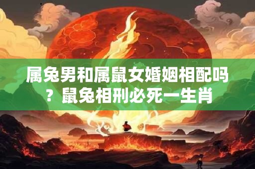 属兔男和属鼠女婚姻相配吗？鼠兔相刑必死一生肖