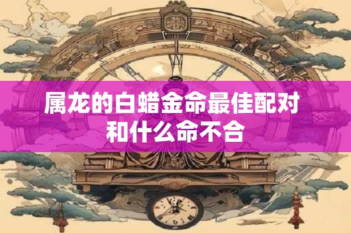 详细阅读:属龙的白蜡金命最佳配对 和什么命不合 属龙的白蜡金命最佳配对 和什么命不合