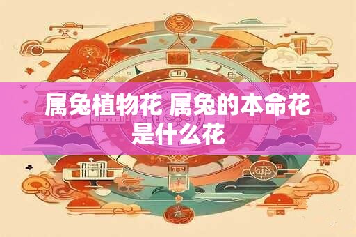 属兔植物花 属兔的本命花是什么花