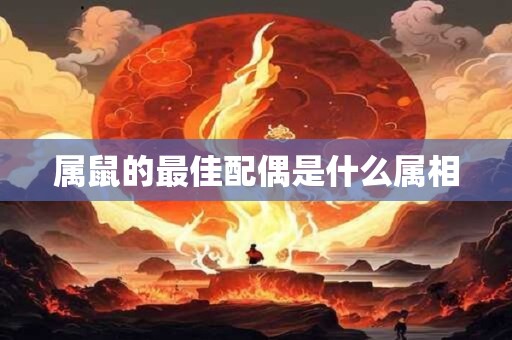 属鼠的最佳配偶是什么属相