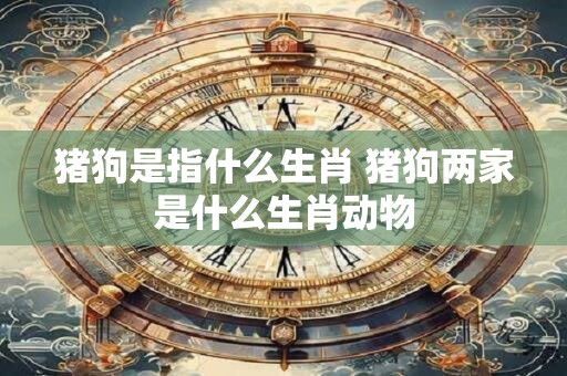猪狗是指什么生肖 猪狗两家是什么生肖动物
